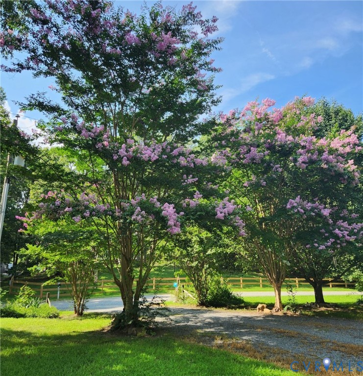 7135 Timber Ridge Road Quinton, VA 23141 - Photo 42 of 48 Seasonal photo of landscape