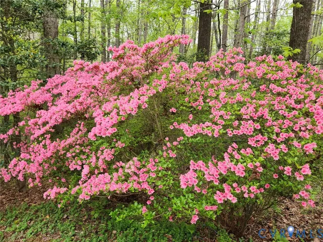 $509,950 | 7135 Timber Ridge Road, Quinton, VA 23141