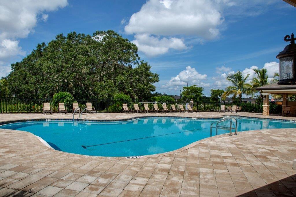 25525 Gorham Lane Punta Gorda, FL 33950 - Photo 20 of 34 a view of a swimming pool with a yard