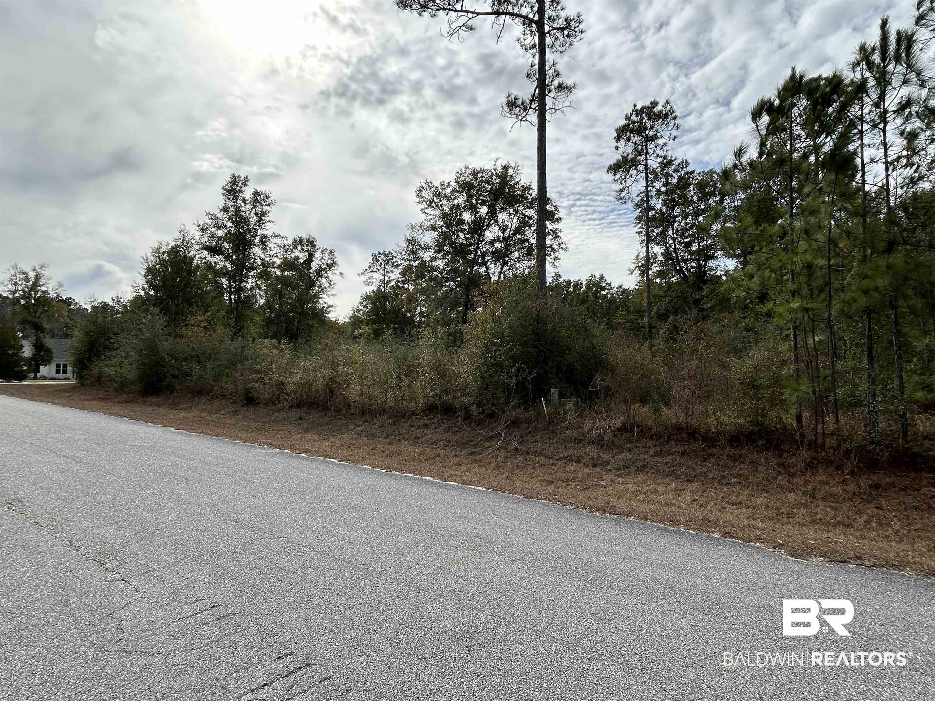 272651 Pandion Drive Foley, AL 36535 - Photo 5 of 13