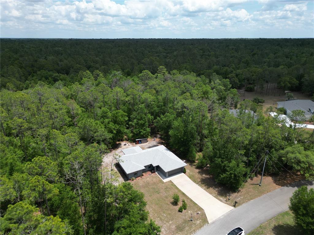 21635 Southwest 82nd Loop Dunnellon, FL 34431 - Photo 28 of 31