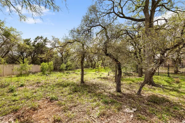 a view of backyard with tree