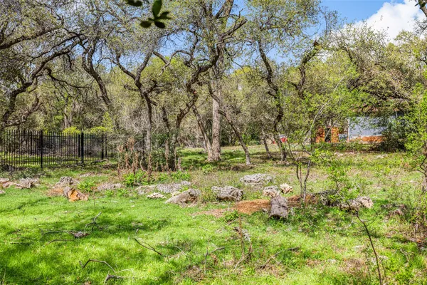 a view of a yard with plants and large trees