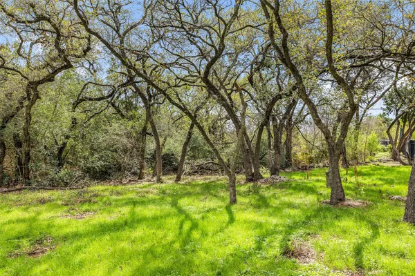 a view of backyard with tree