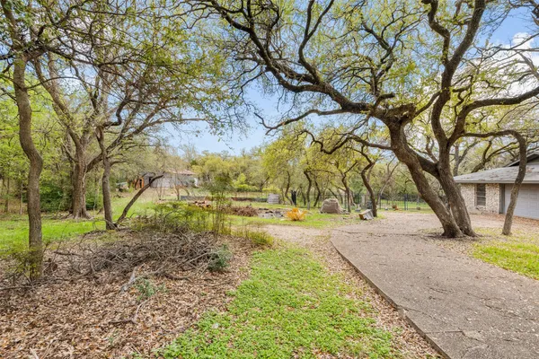 a view of backyard with tree