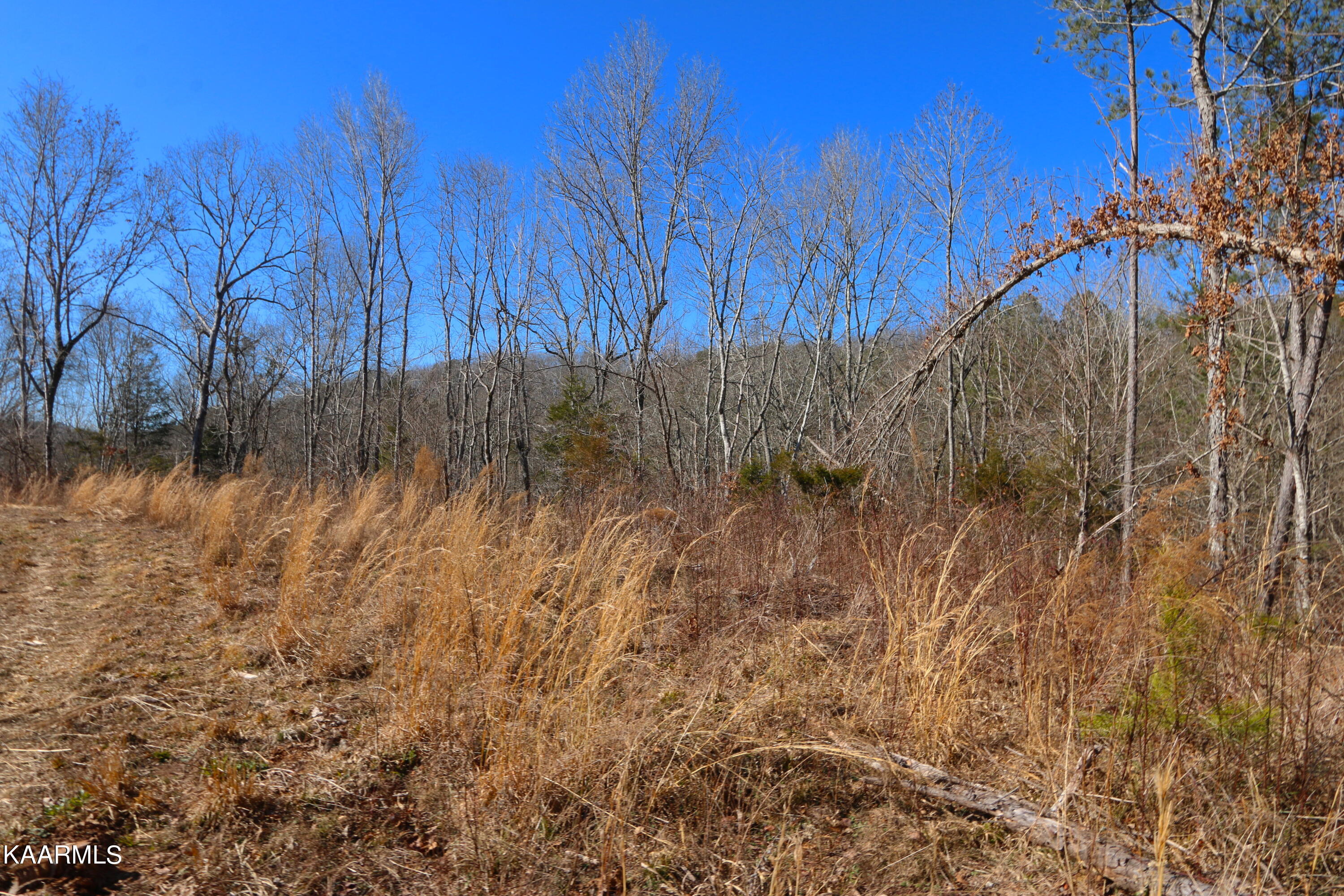 449 Bill Moser Road Vonore, TN 37885 - Photo 1 of 22 IMG_0142