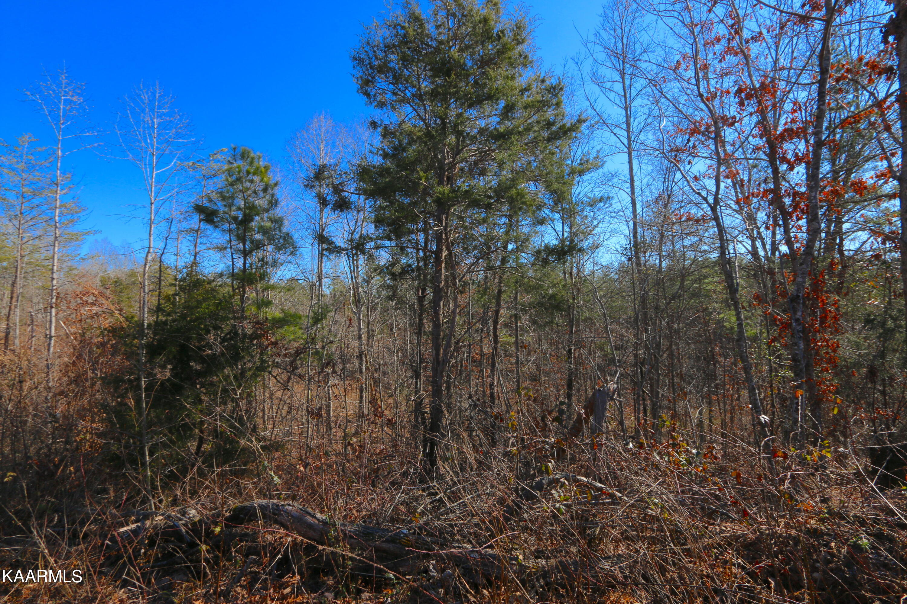 449 Bill Moser Road Vonore, TN 37885 - Photo 2 of 22 IMG_0203