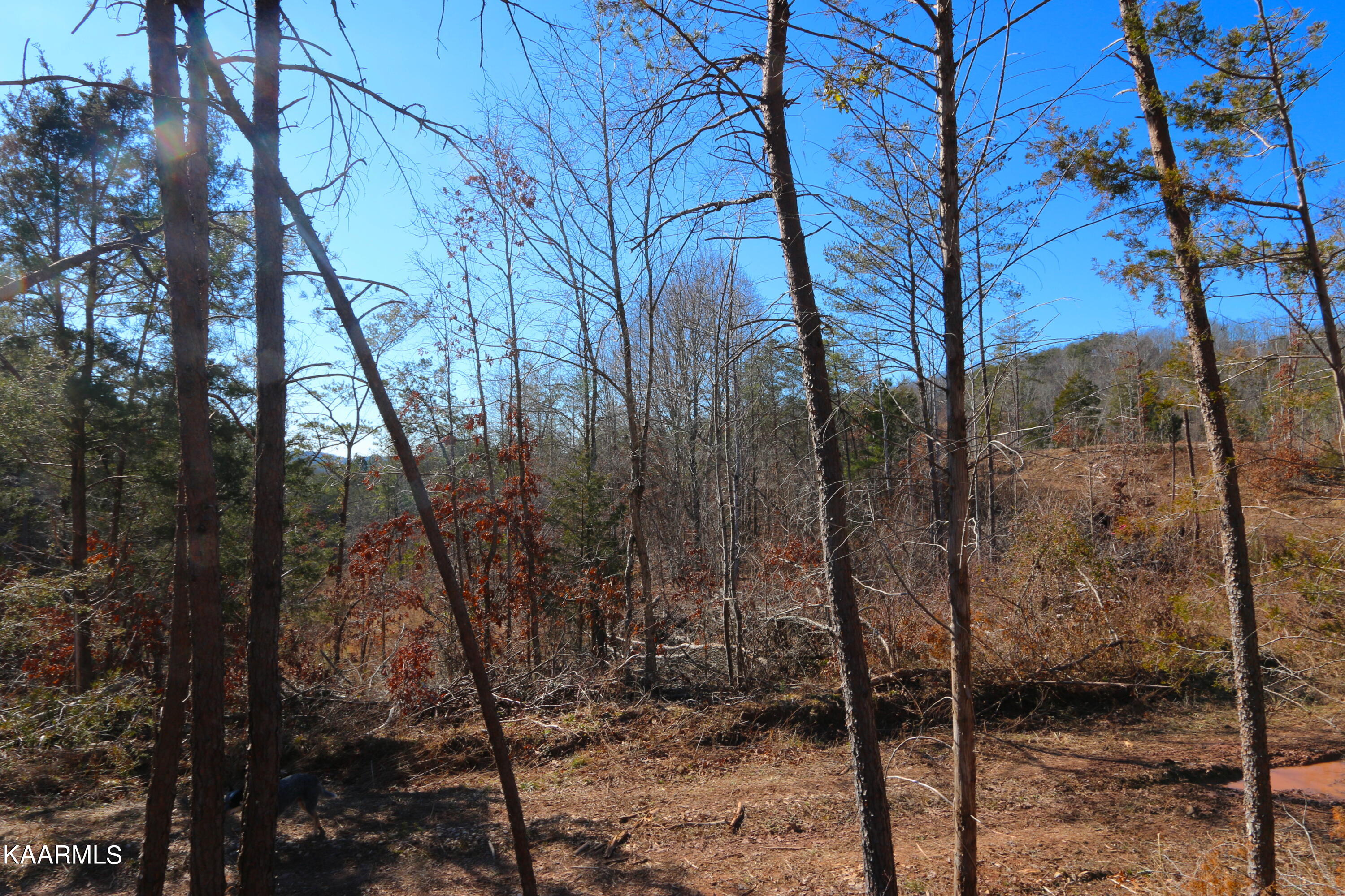 449 Bill Moser Road Vonore, TN 37885 - Photo 3 of 22 IMG_0166