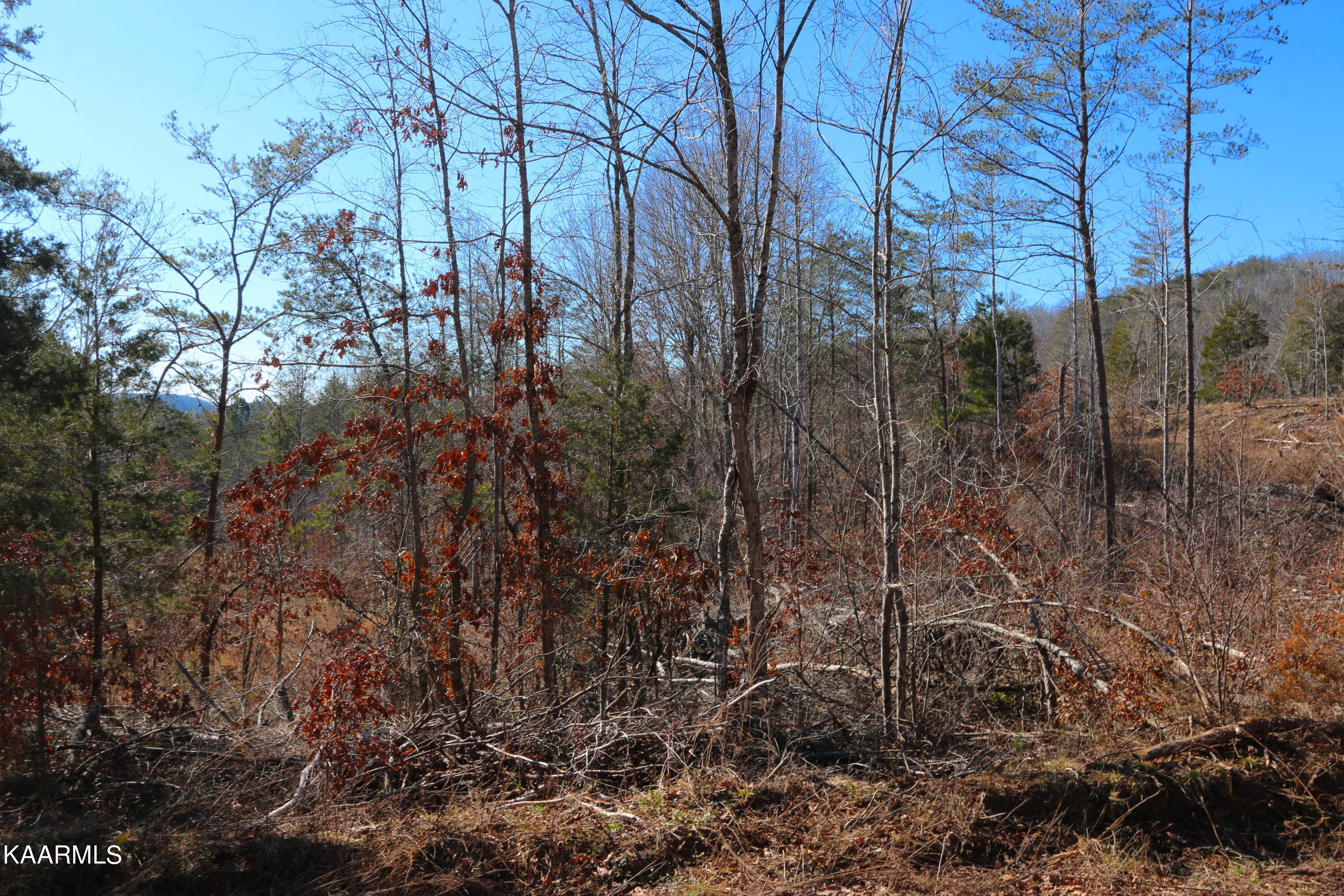 449 Bill Moser Road Vonore, TN 37885 - Photo 7 of 22 IMG_0168