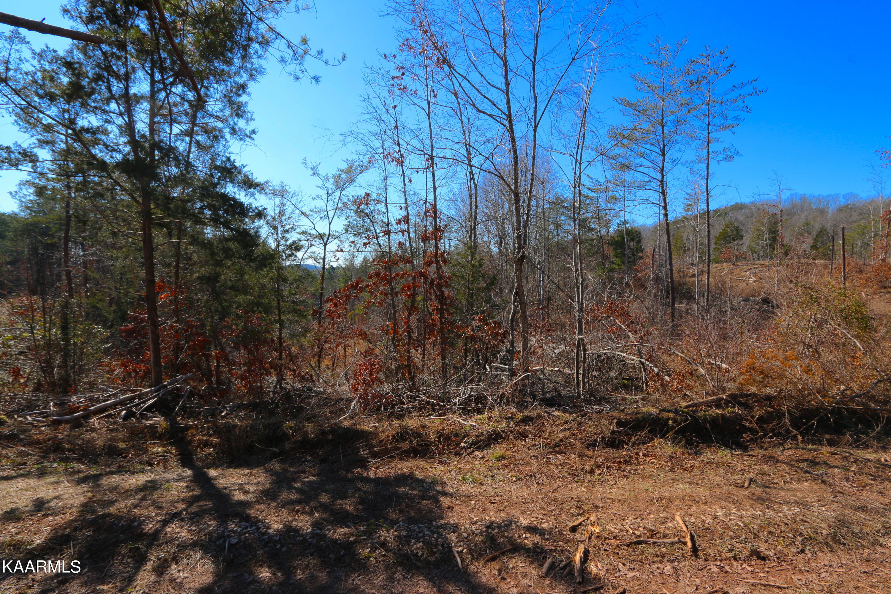 449 Bill Moser Road Vonore, TN 37885 - Photo 8 of 22 IMG_0169