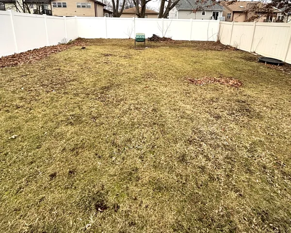 a view of a back yard