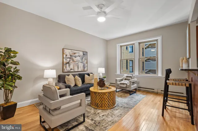 a living room with furniture and a potted plant