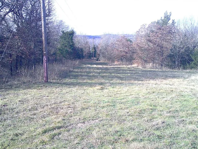 a view of a yard with trees in the background