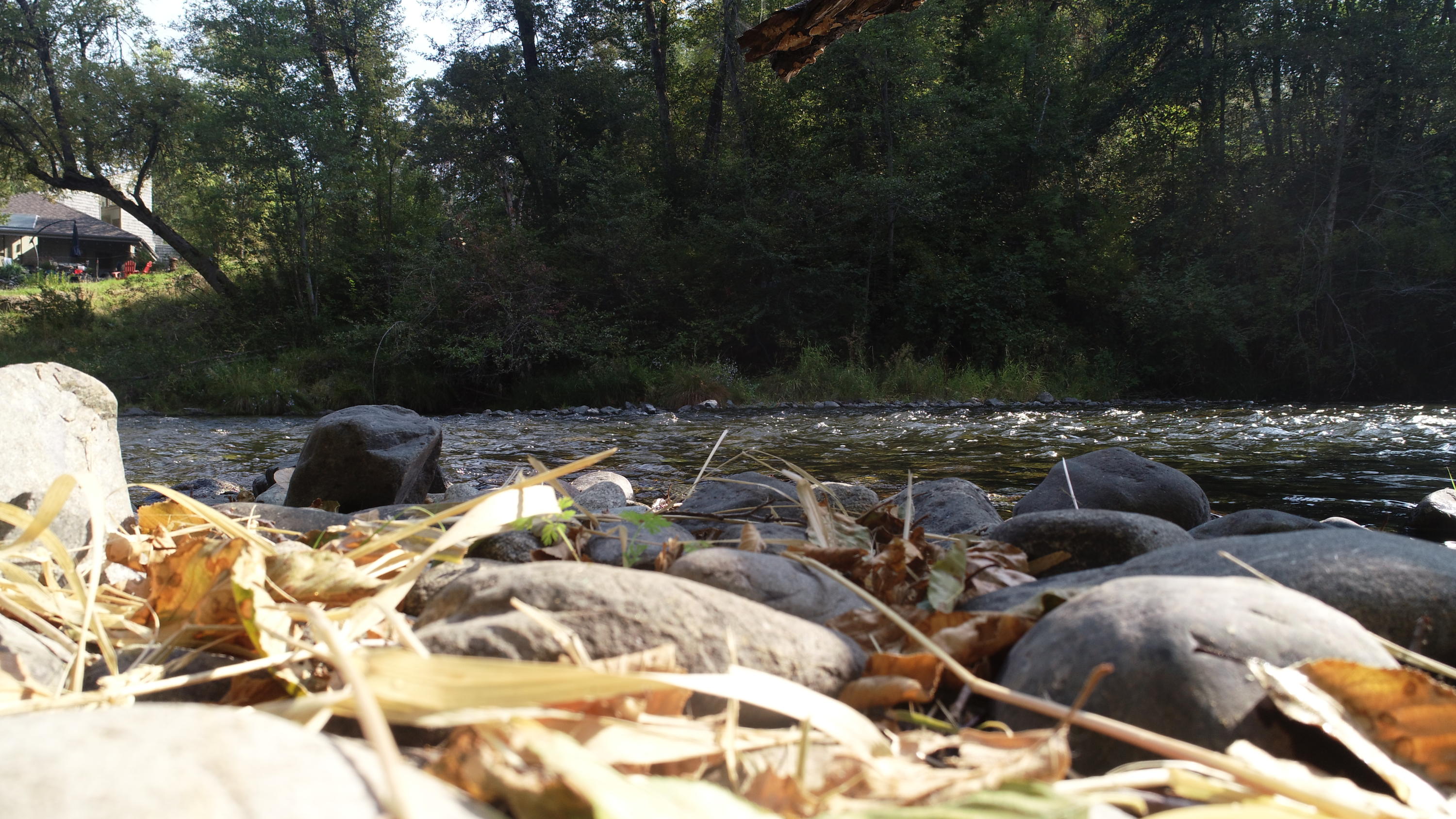 7717 Upper Applegate Road Jacksonville, OR 97530 - Photo 34 of 41 DJI_0053