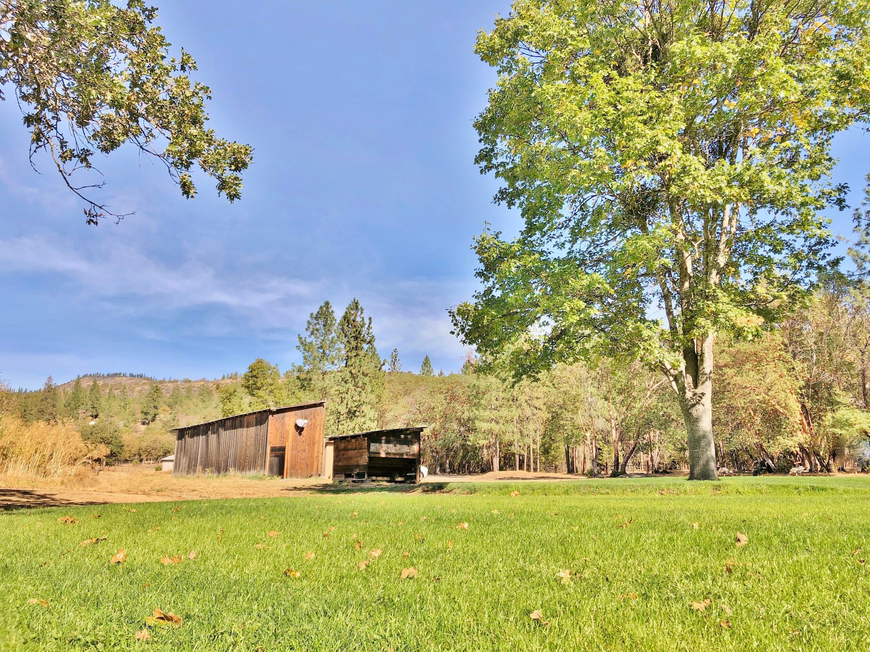 237 China Gulch Road Jacksonville, OR 97530 - Photo 3 of 8 233ChinaGulchRd_G