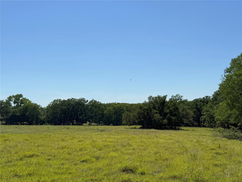 913 North Rice Street Hamilton, TX 76531 - Photo 17 of 28