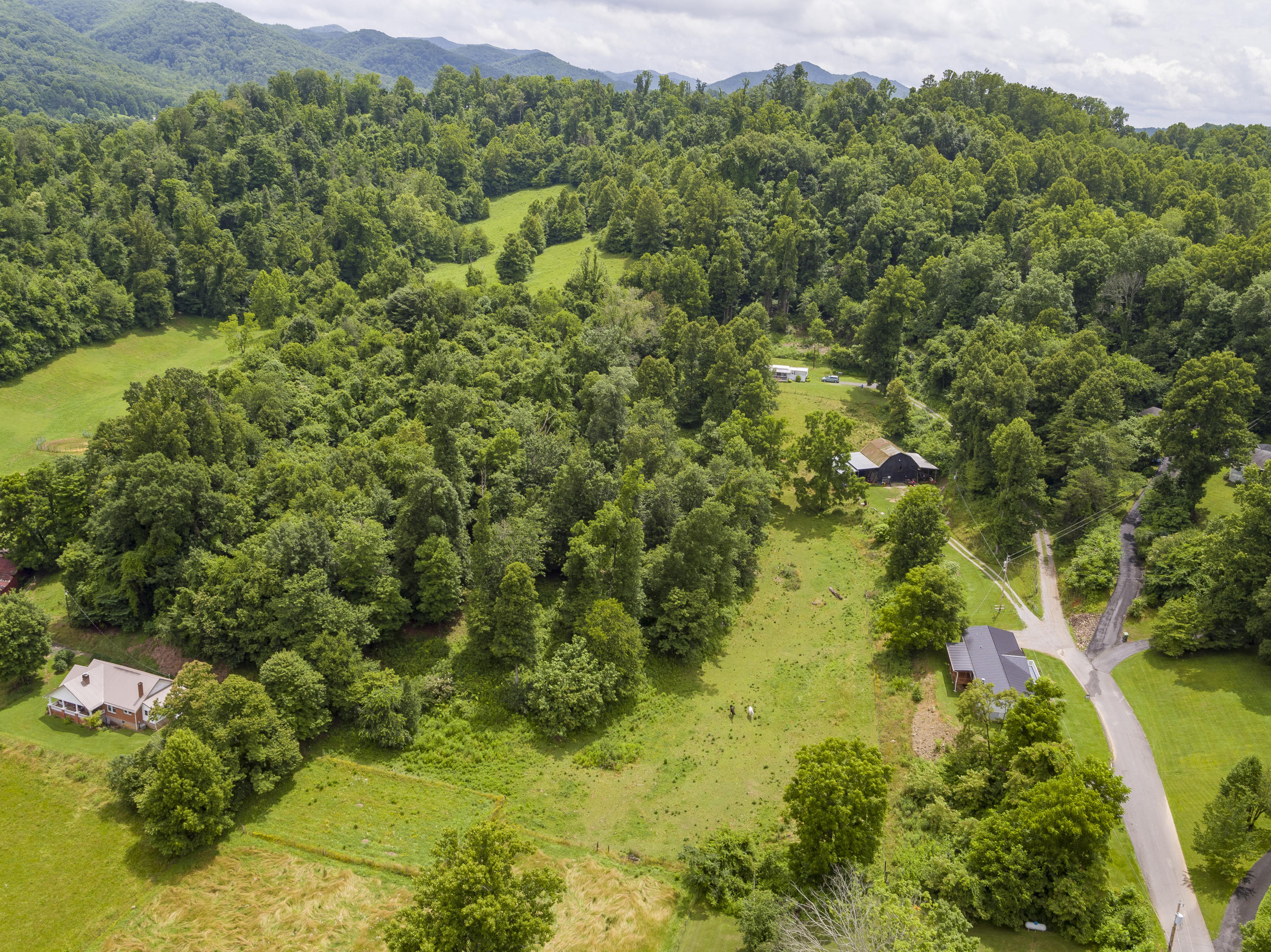 221 Clay Little Road Elizabethton, TN 37643 - Photo 8 of 14 ClayA--5