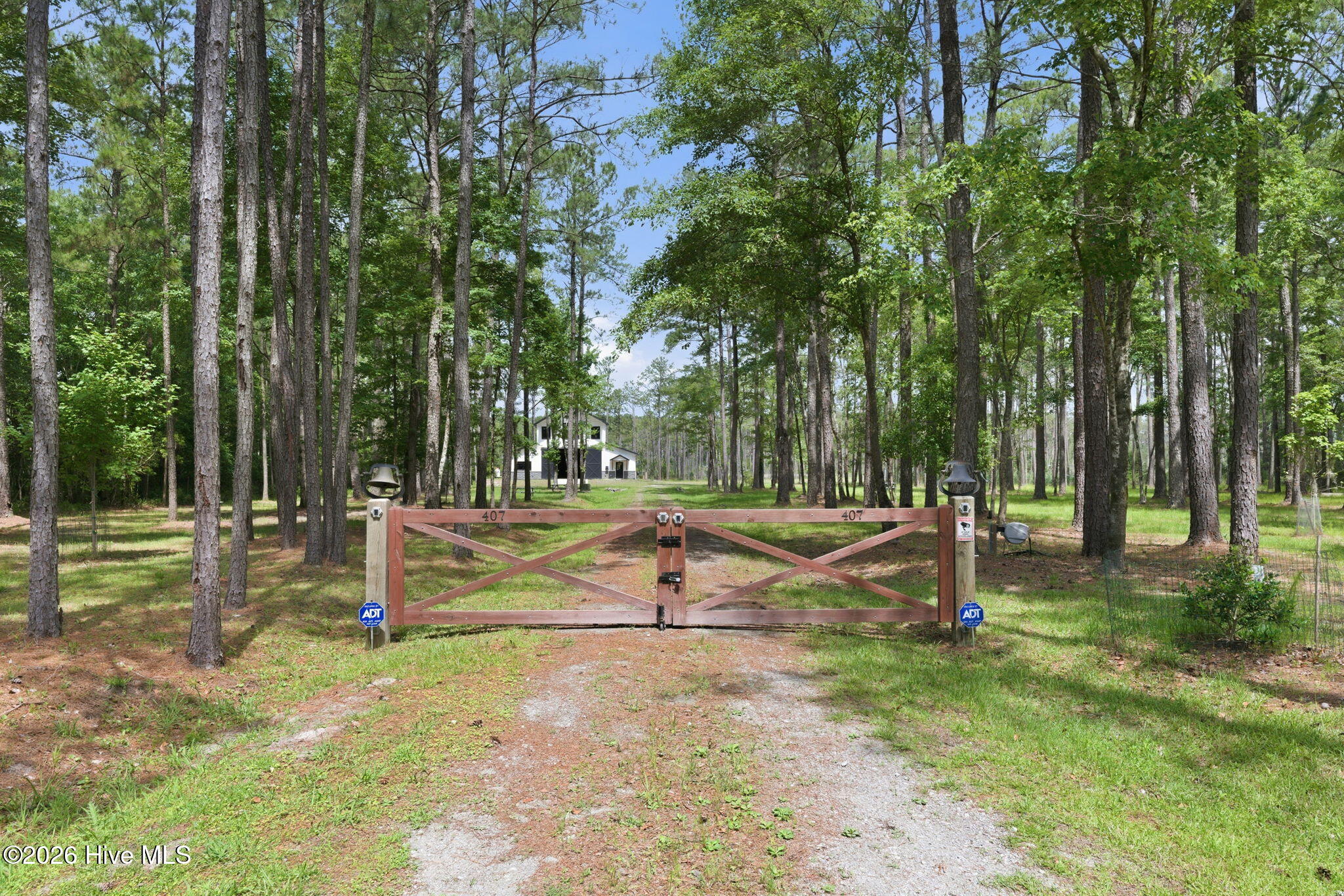 407 Point Of View Drive Merritt, NC 28556 - Photo 63 of 72 72-web-or-mls-DSC_7794