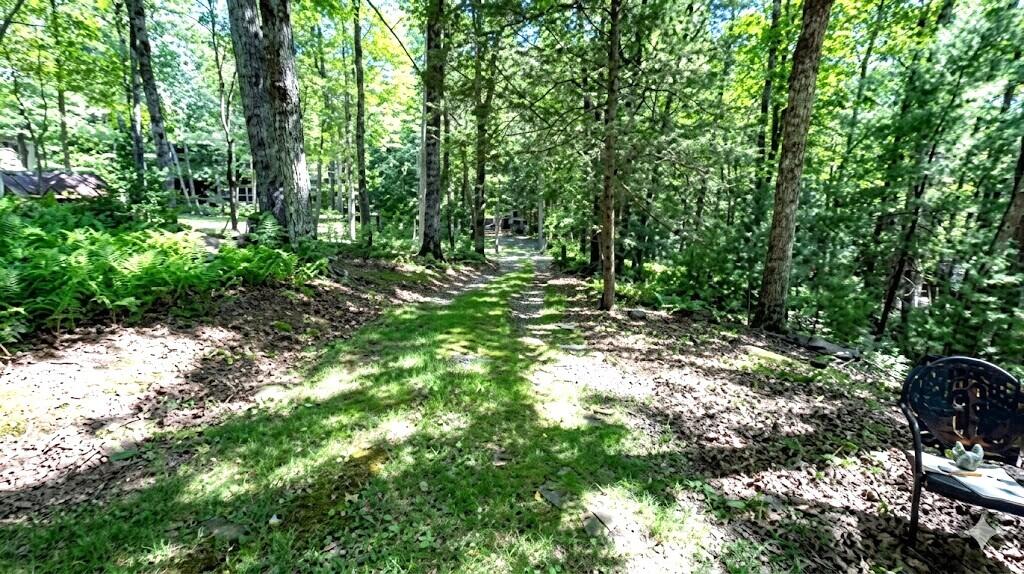 2474 Sunset Road Marlinton, WV 24954 - Photo 5 of 37 Gallery Image 5