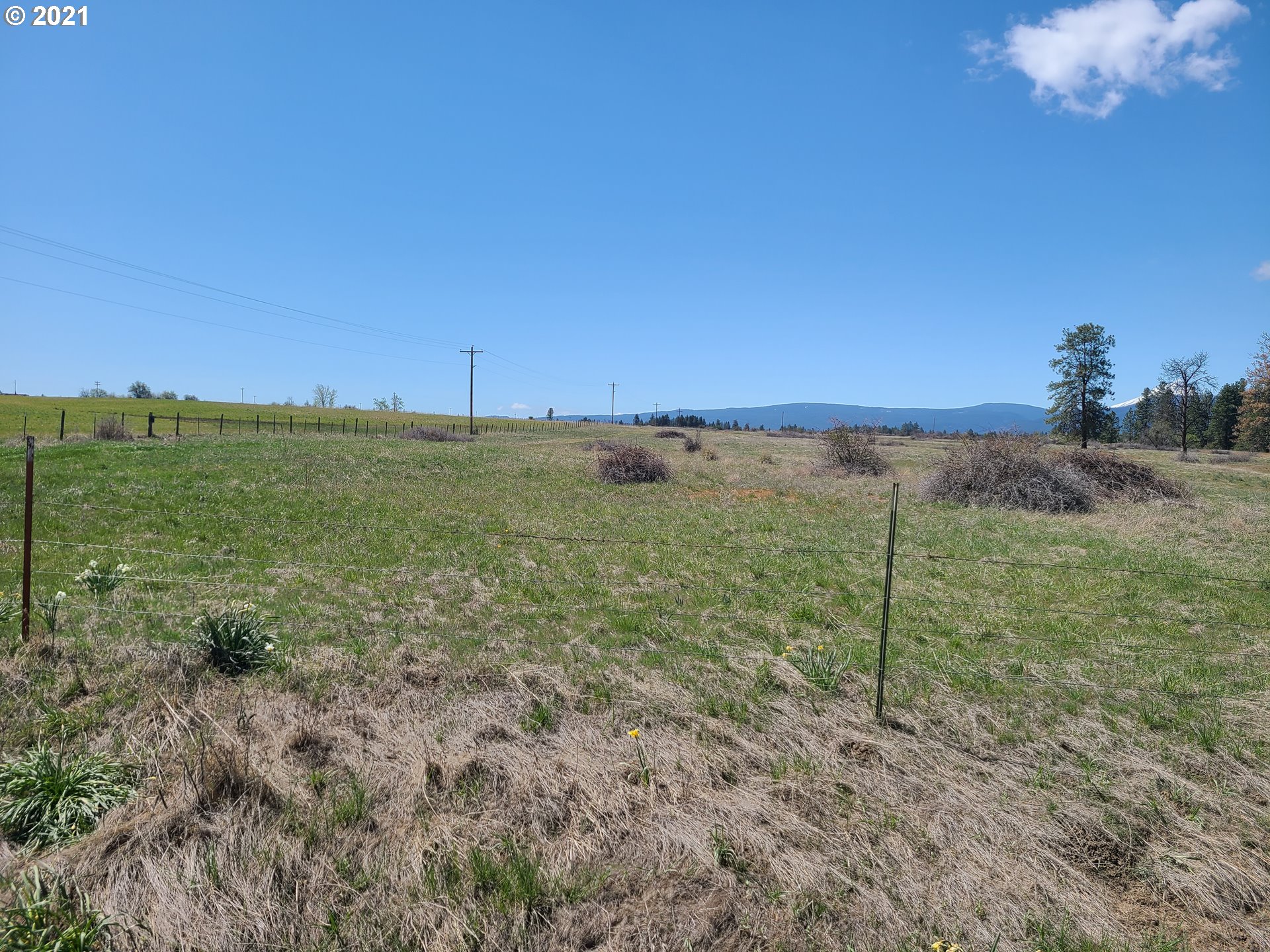 Price Road Tygh Valley, OR 97063 - Photo 4 of 4 Gallery Image 4