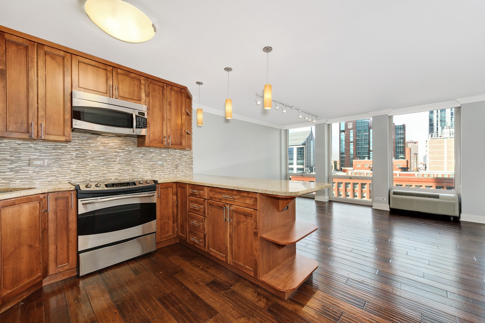 111 East Chestnut Street, Unit 20D Chicago, IL 60611 - Photo 3 of 23