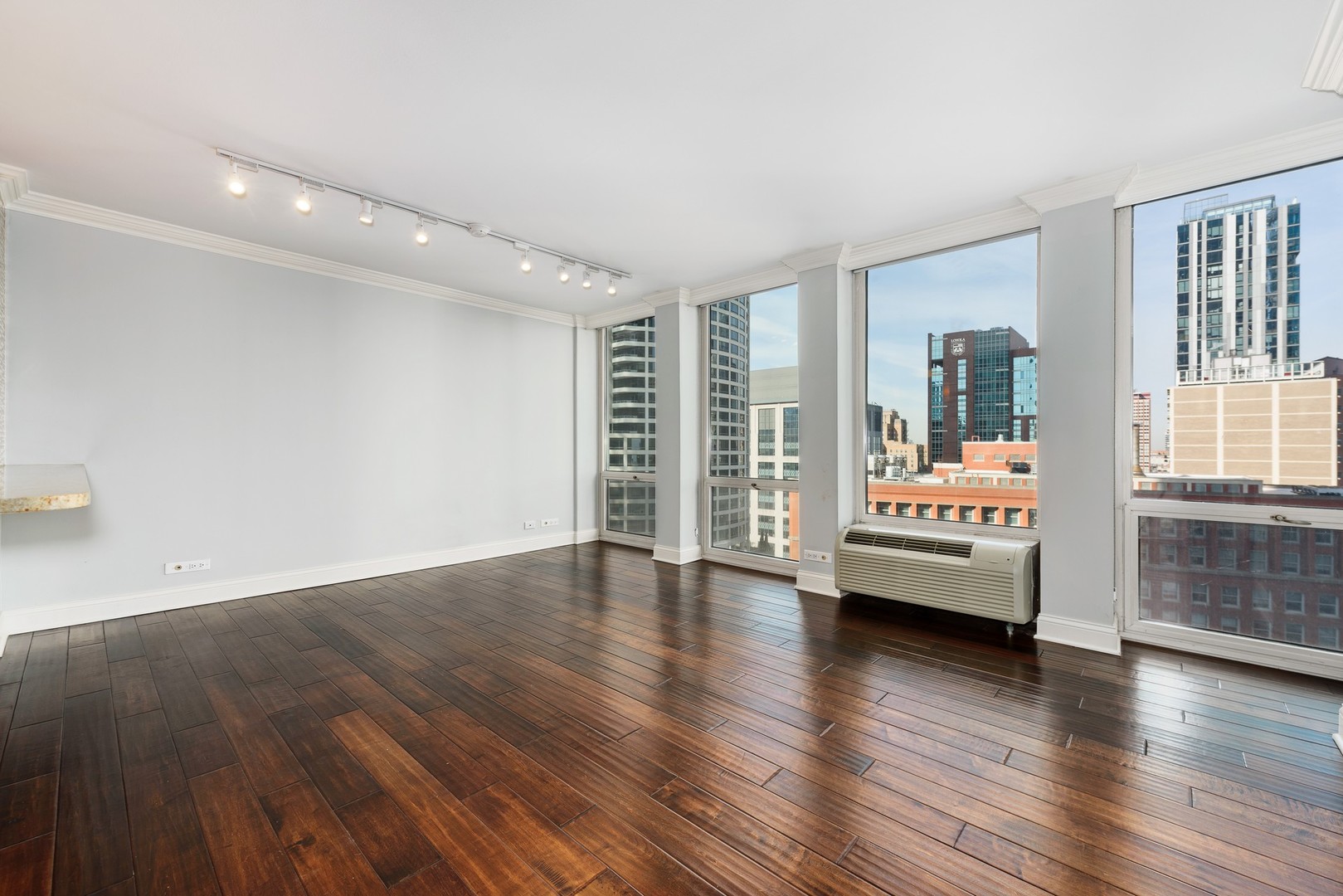 111 East Chestnut Street, Unit 20D Chicago, IL 60611 - Photo 5 of 23