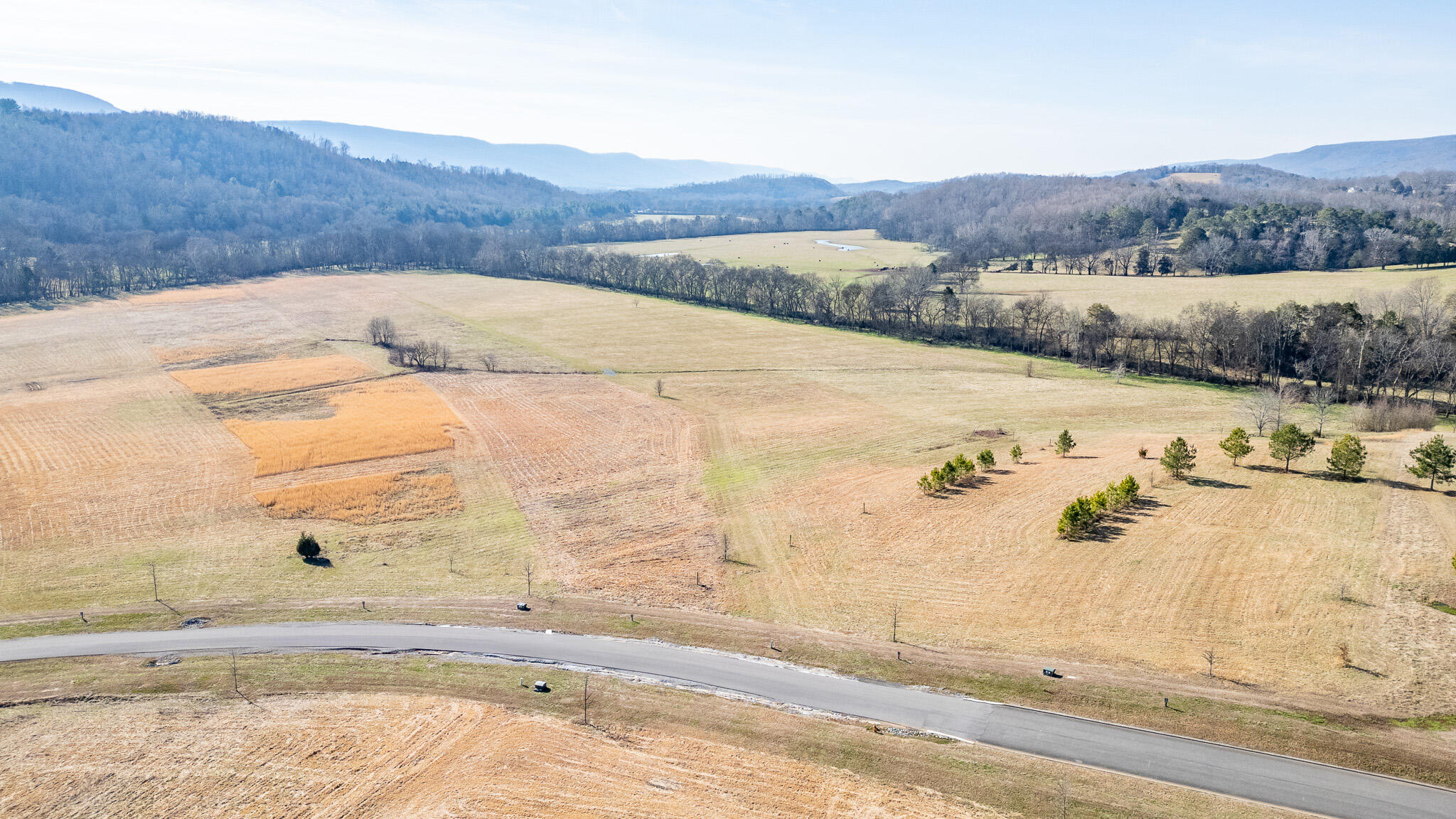 123 River Ridge Drive Dunlap, TN 37327 - Photo 4 of 11 DJI_0045-HDR