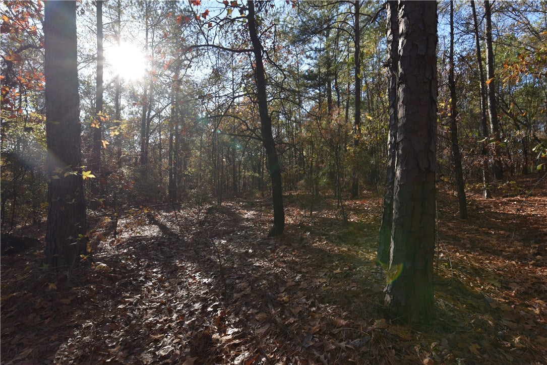 573 Rolling Ridge Road Auburn, AL 36830 - Photo 9 of 30 Gallery Image 9