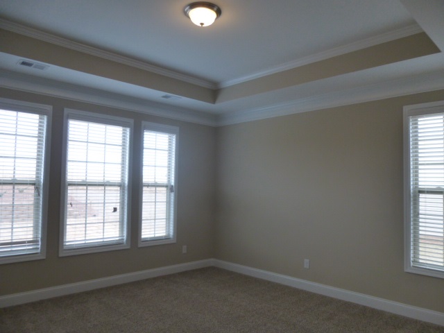 675 Ridgeville Crossing Drive Inman, SC 29349 - Photo 21 of 36