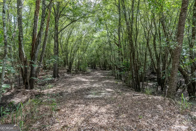 a view of a lake in between of two trees