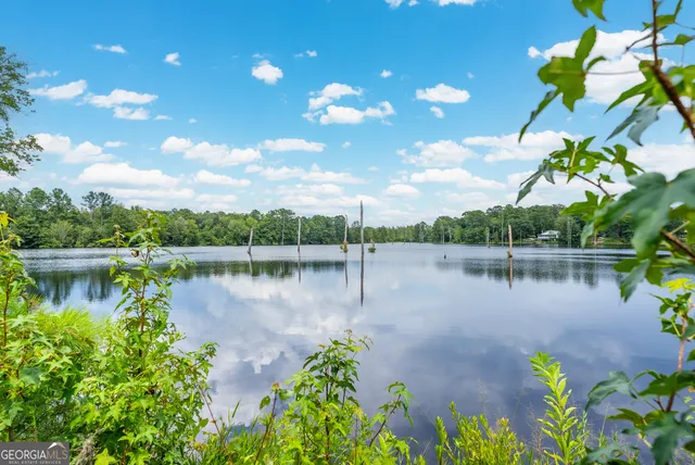 a view of a lake with a tree
