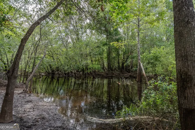 a view of outdoor space and trees