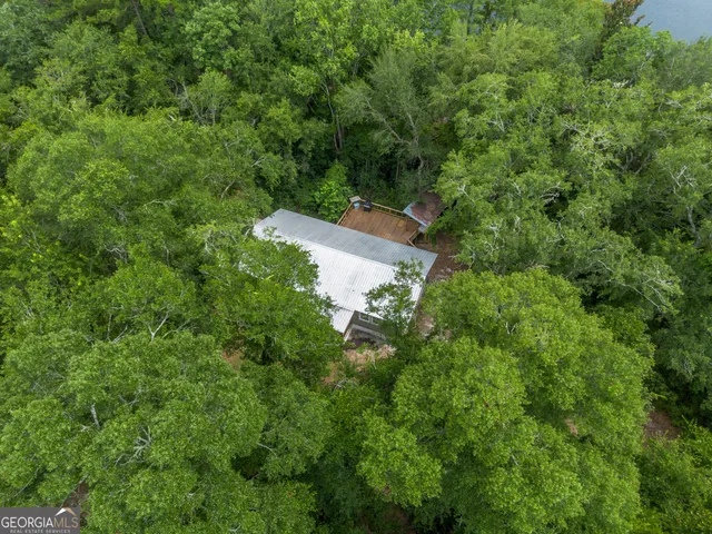 an aerial view of field with river