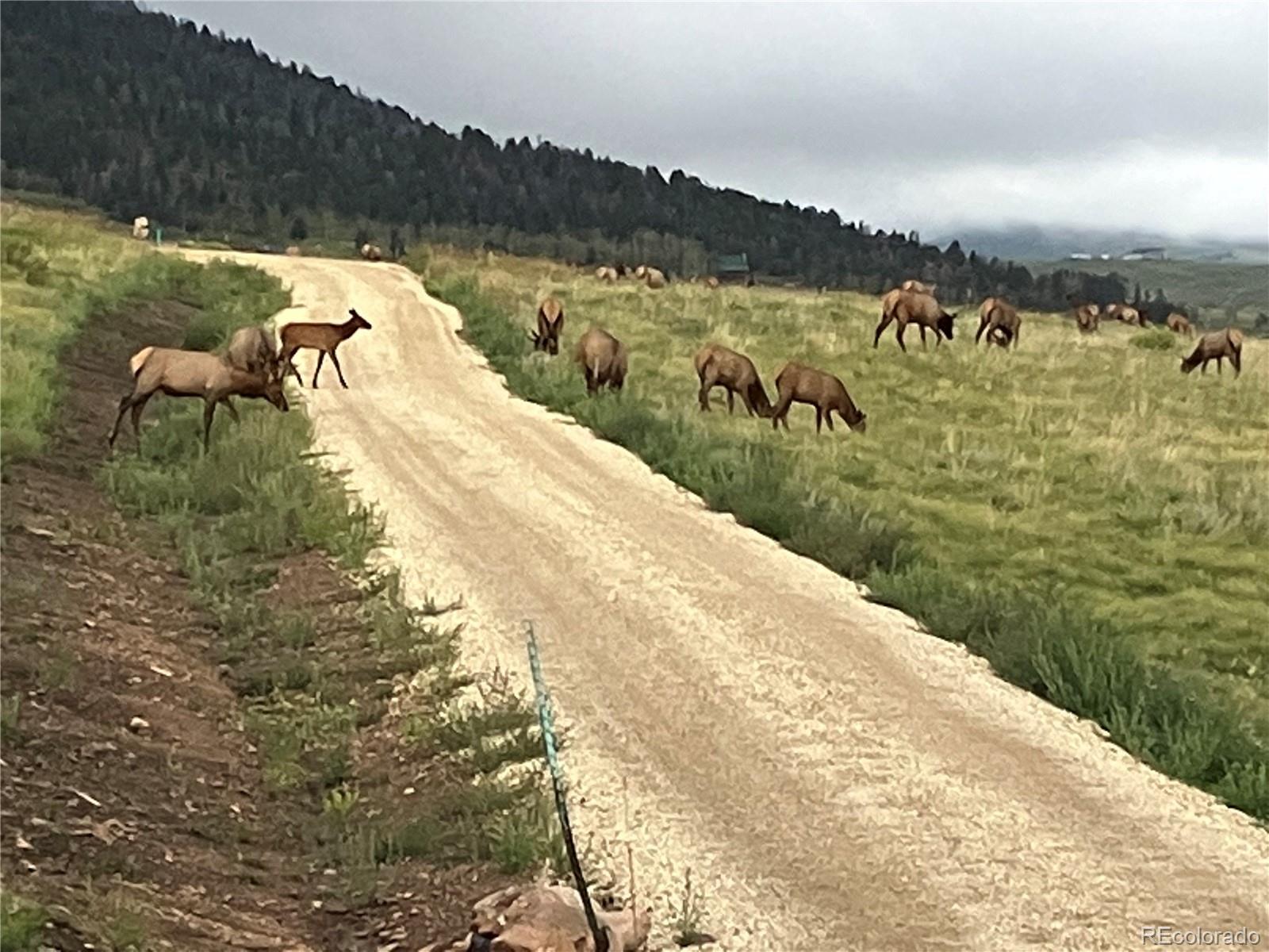 1115 Eagles Gate Road Westcliffe, CO 81252 - Photo 31 of 35