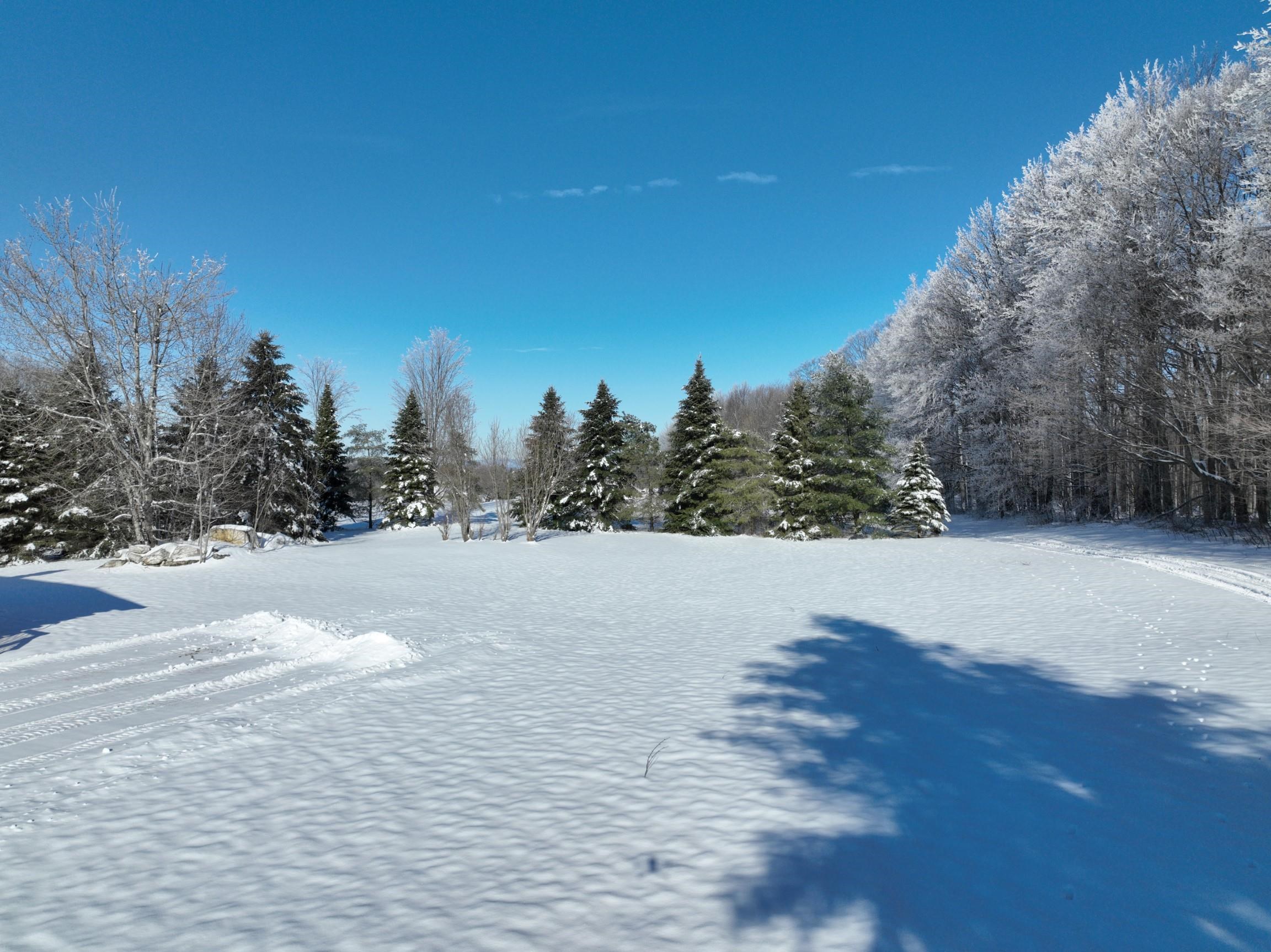 1661 Nelson Hill Road Derby, VT 05829 - Photo 5 of 40 Gallery Image 5