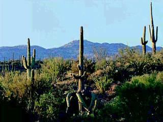 11 South Triangle H Ranch Place Vail, AZ 85641 - Photo 4 of 5