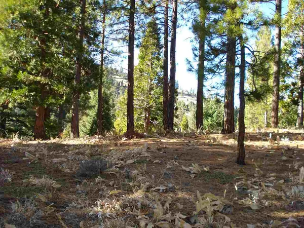 $19,000 | 369 Big Grizzly, Portola, CA 96122