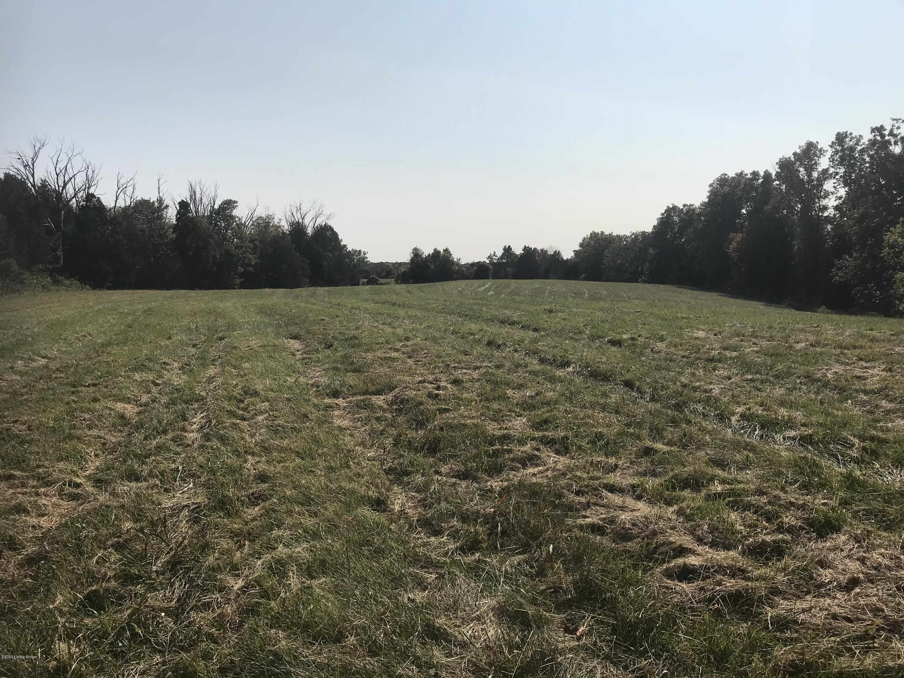 16117-1 Dry Ridge Road Louisville, KY 40299 - Photo 6 of 7 Lot 1 from the ground
