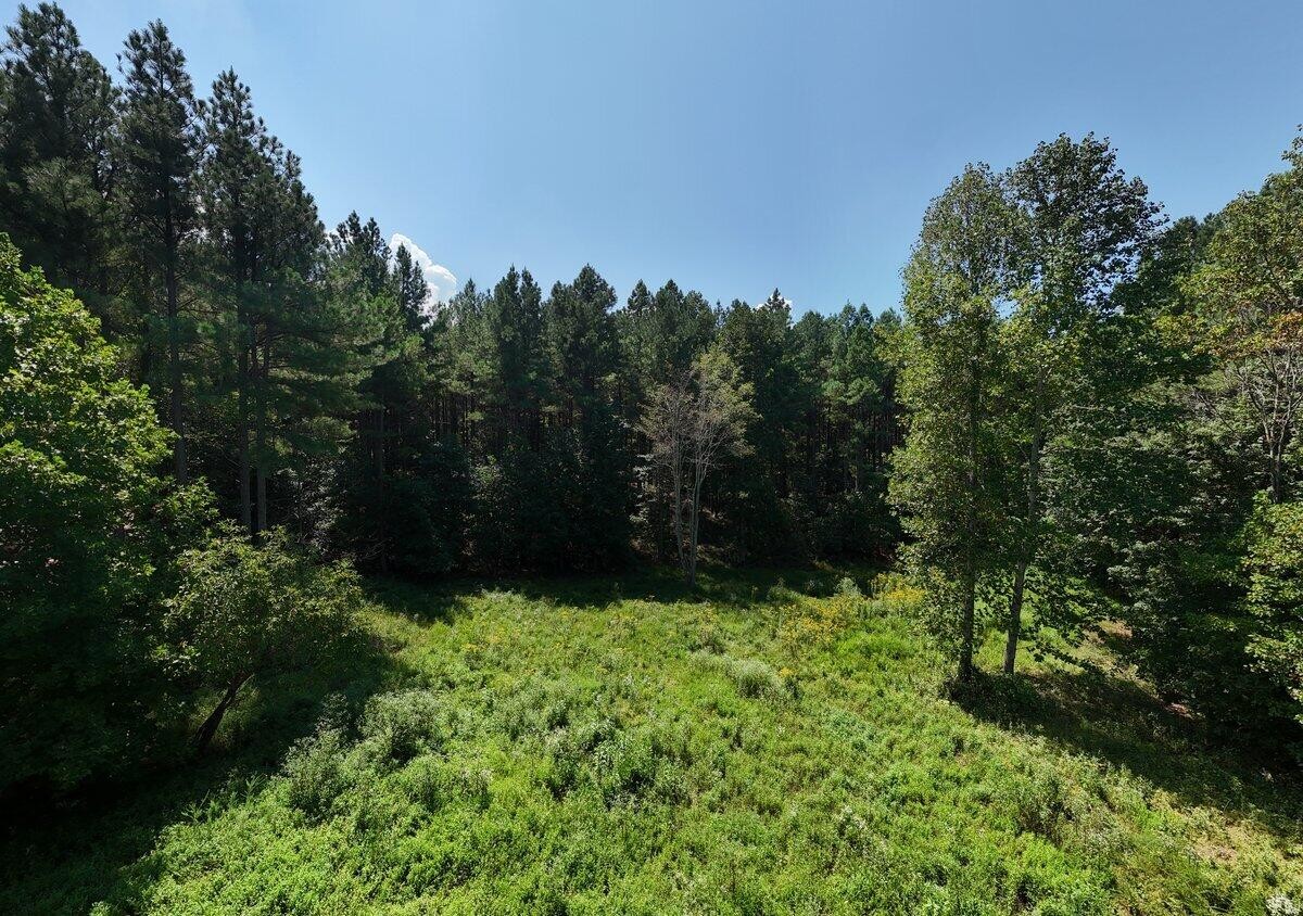 a view of outdoor space and garden