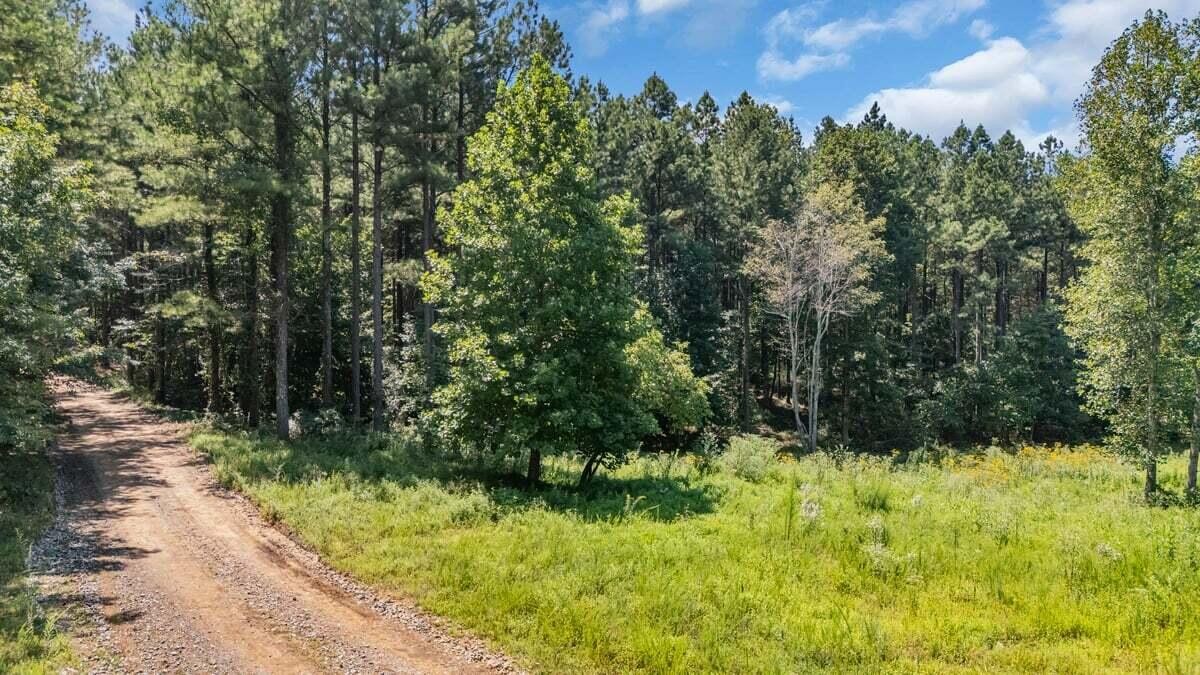 0 Melody Drive Guild, TN 37340 - Photo 3 of 9 a view of a garden with plants and large trees
