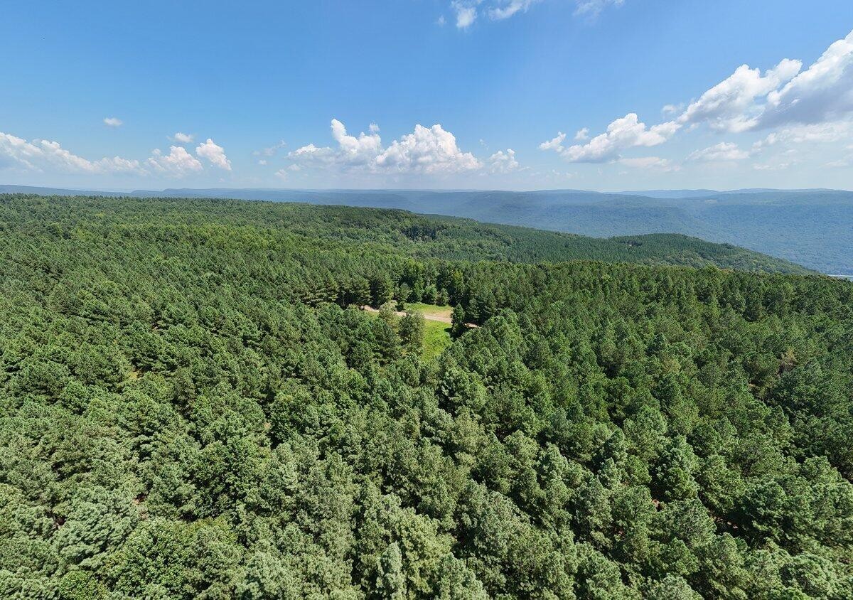 0 Melody Drive Guild, TN 37340 - Photo 5 of 9 a view of a fountain in middle of the green field