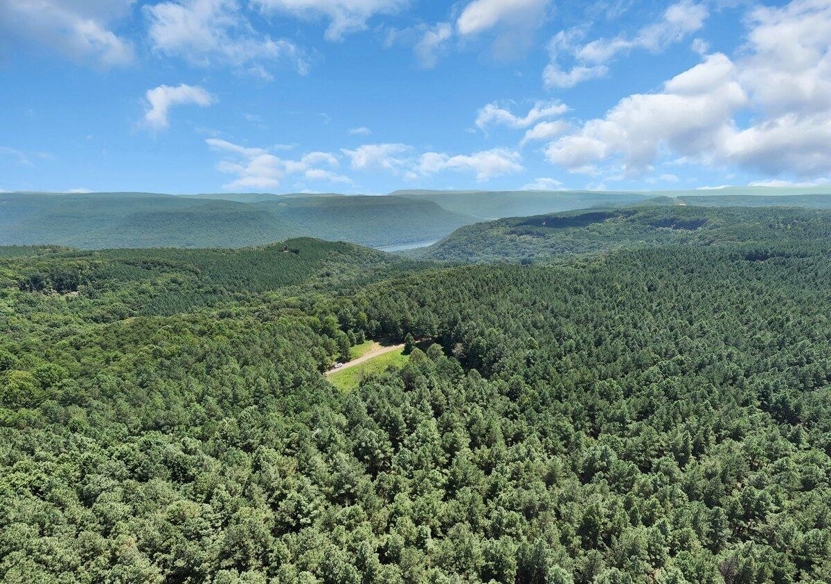 0 Melody Drive Guild, TN 37340 - Photo 9 of 9 a view of a green field