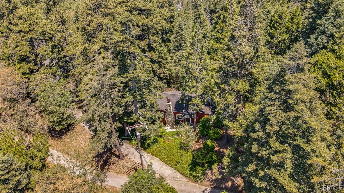 433 Milburn Road Lake Arrowhead, CA 92352 - Photo 46 of 47 Gallery Image 46