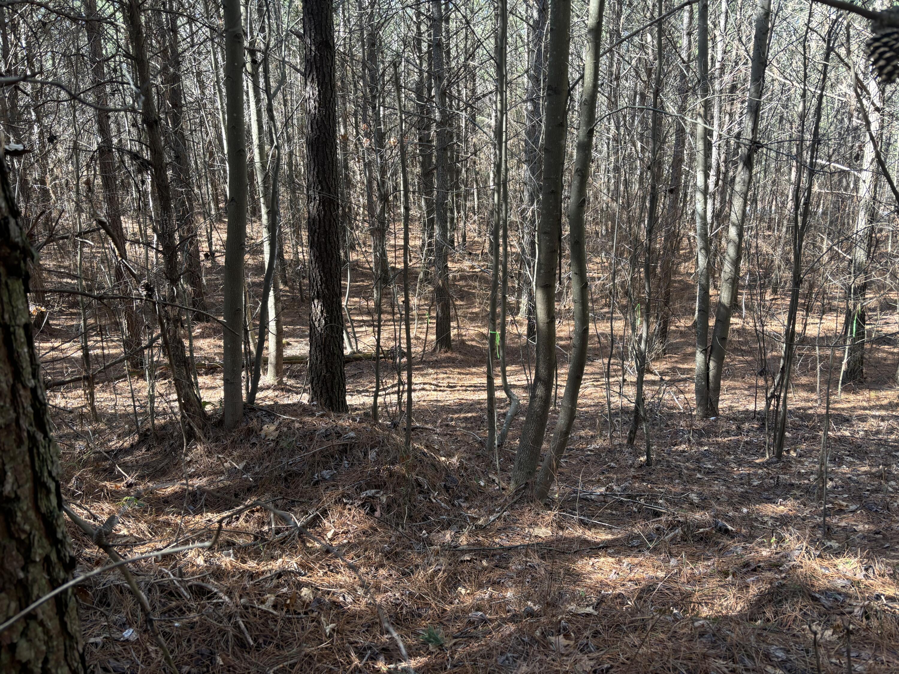 4 Fredonia Road Dunlap, TN 37327 - Photo 1 of 7 Photo Feb 24 2025, 11 27 17 AM