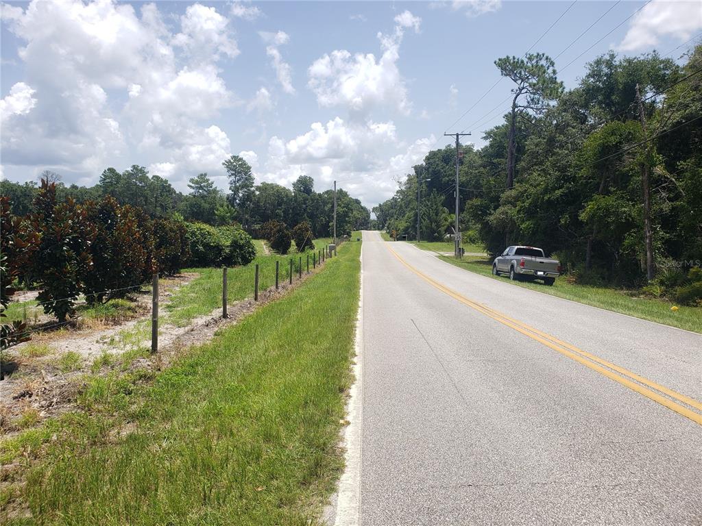 Reynolds Road De Leon Springs, FL 32130 - Photo 4 of 6 a view of road with grass and a trees