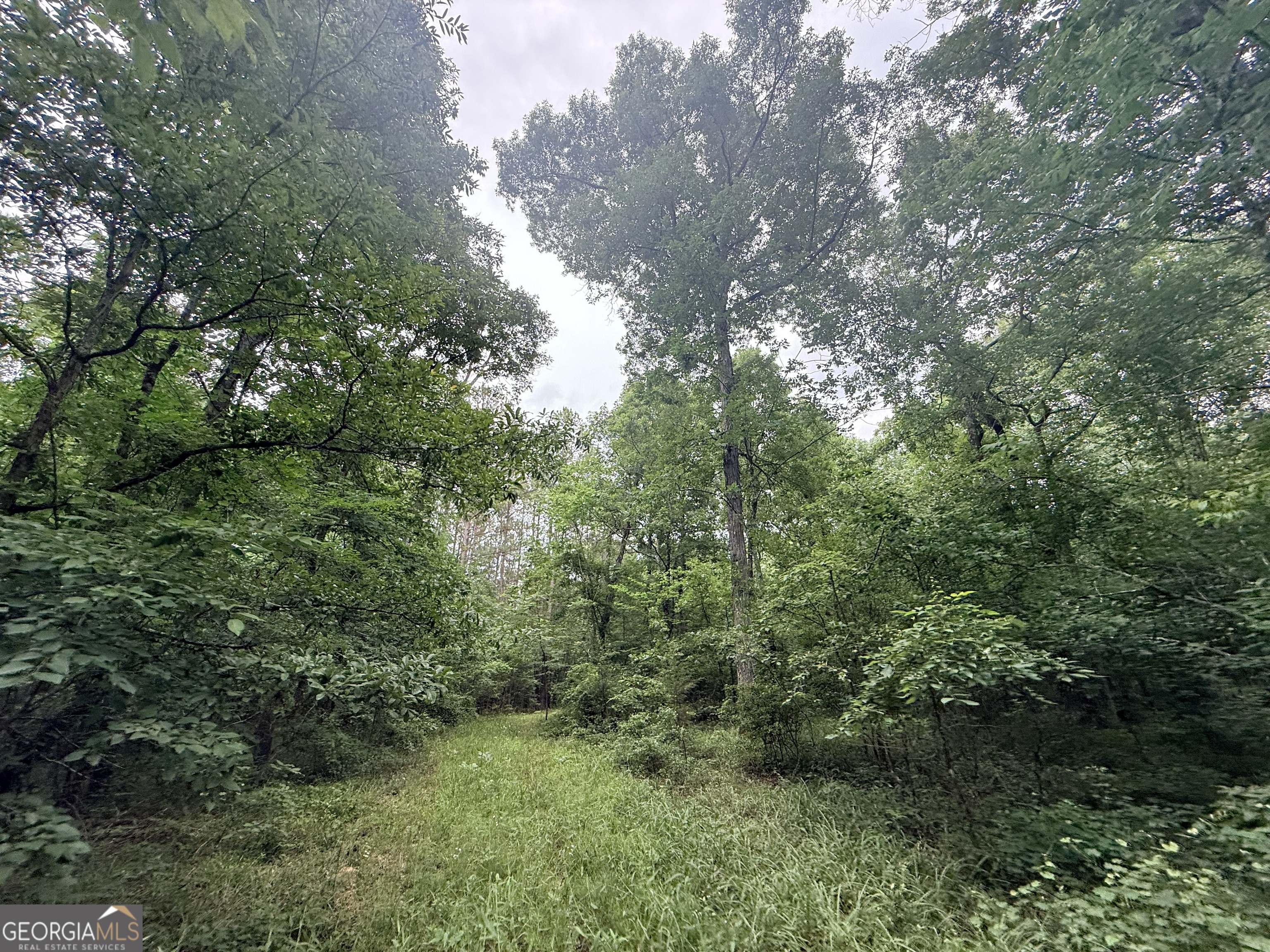 1 Bethesda Church Road Lexington, GA 30648 - Photo 15 of 78