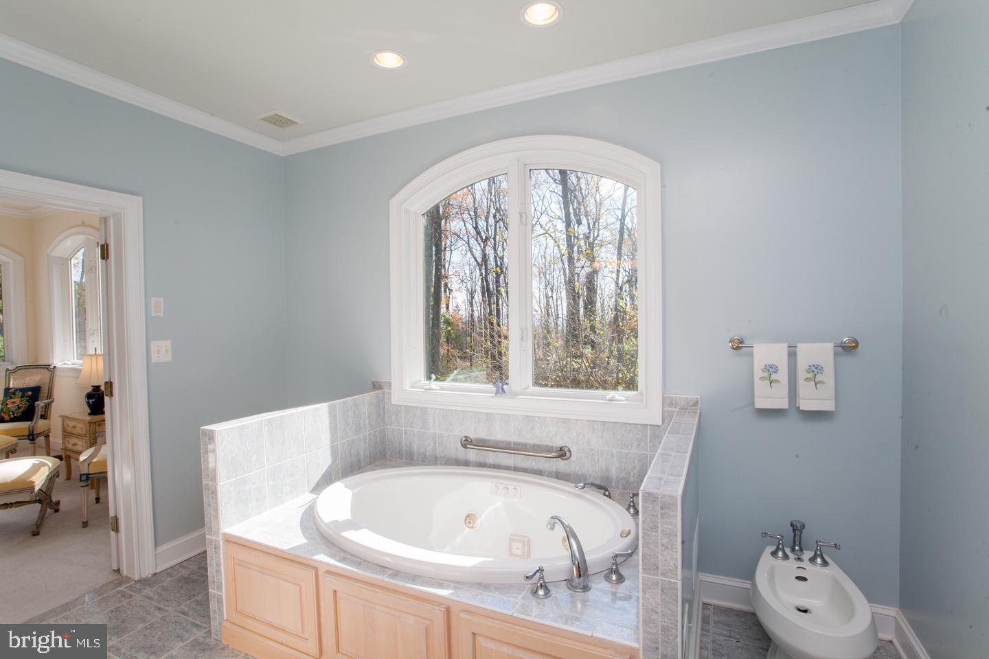 6012 Lower Mountain Road New Hope, PA 18938 - Photo 29 of 37 Main Bath With Tub And Bidet