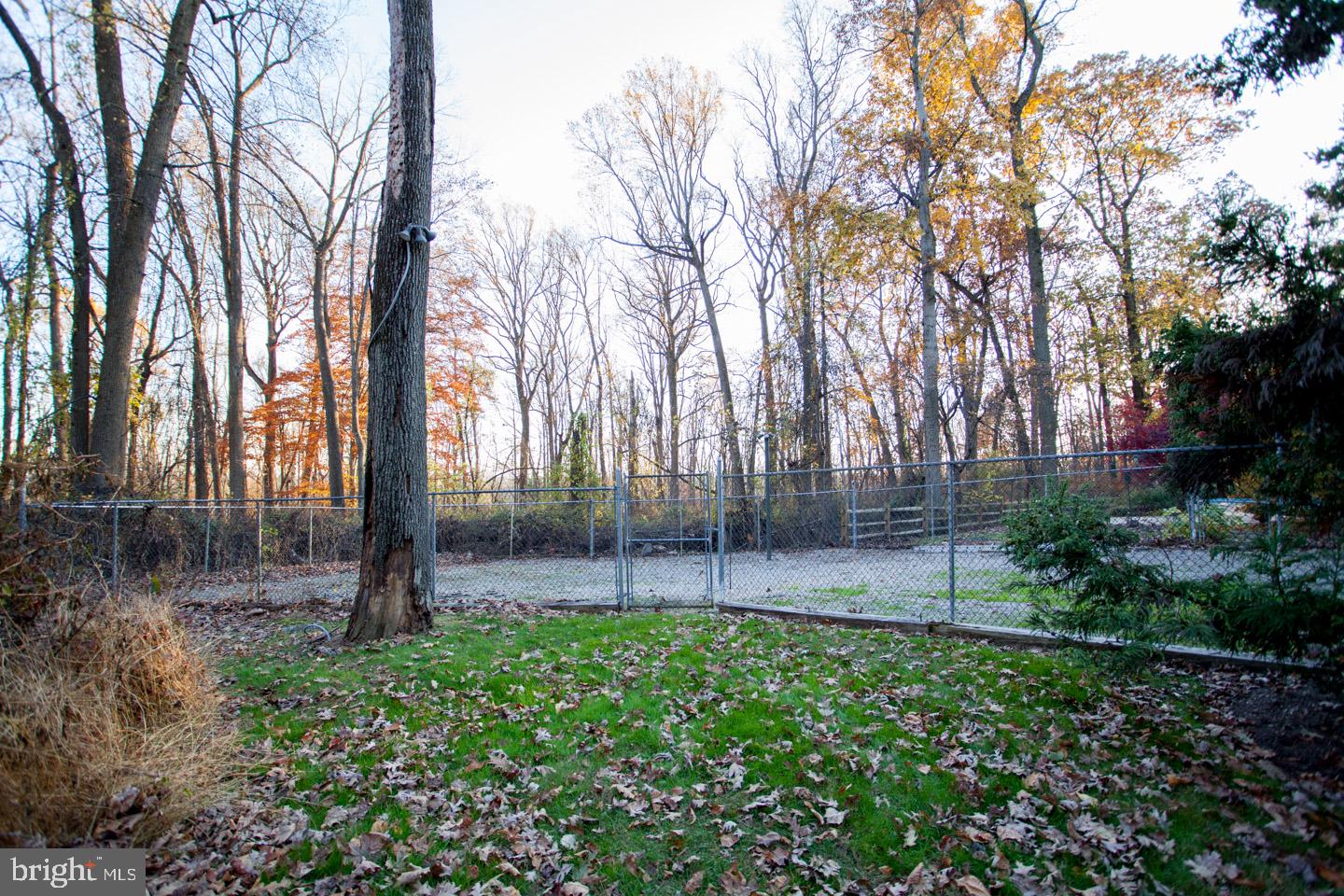 6012 Lower Mountain Road New Hope, PA 18938 - Photo 34 of 37 Fenced Dog Yard
