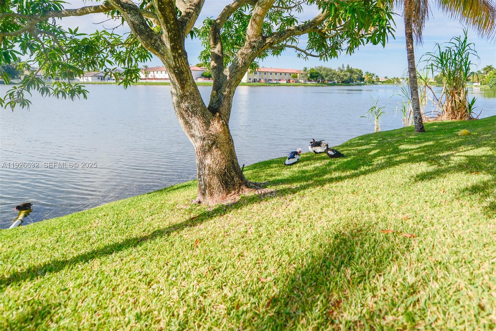 5290 Southwest 134th Avenue Miramar, FL 33027 - Photo 33 of 44 a view of a garden with a tree