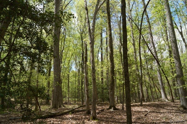 3 Broad Run Road Manakin-Sabot, VA 23103 - Photo 8 of 22 Gallery Image 8